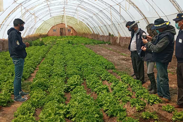 High-Impact Model of Fundación Solydes in Bolivia